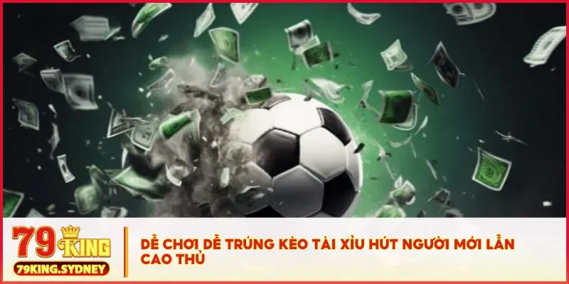 Dễ chơi dễ trúng kèo tài xỉu hút người mới lẫn cao thủ